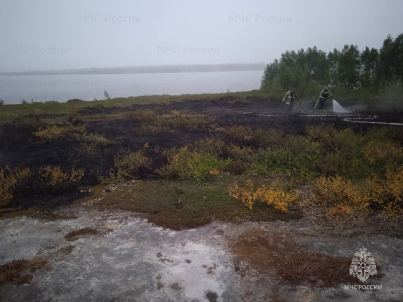 Пожар в районе озера Васькино